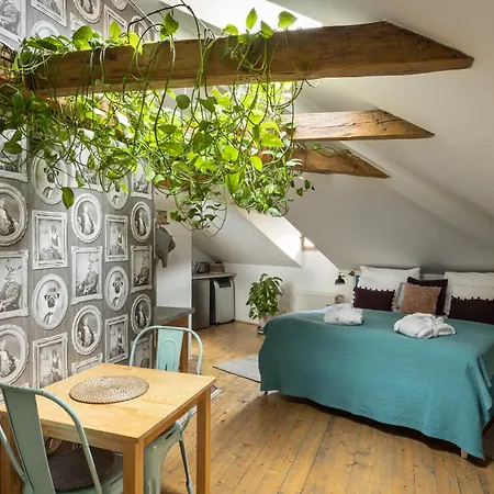 Bohemian Chic 2 Bedroom 2 Bathroom Loft With Hanging Chair Apartment